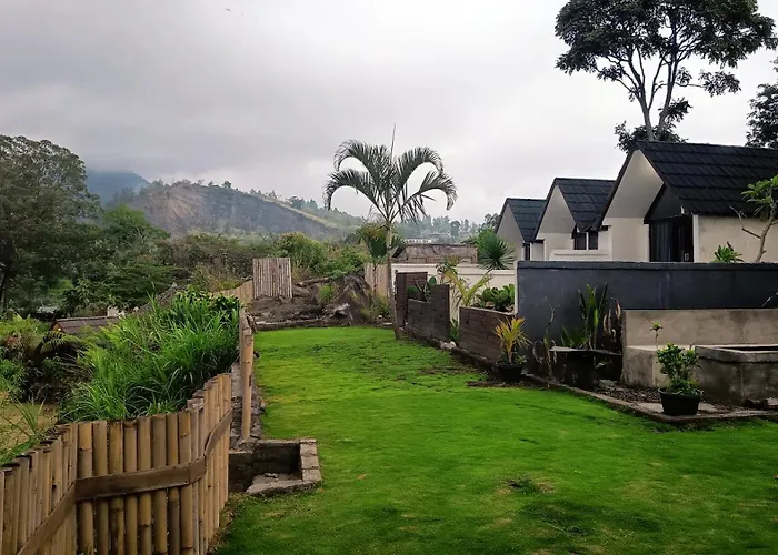 Savana Bali Glamping 营地 *